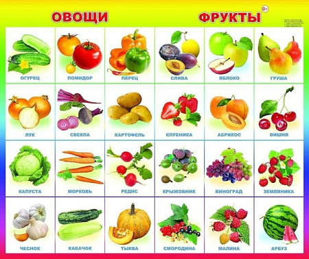 ✔️Карточки Тильмиз овощи фрукты ягоды - купить за  в г. Махачкале