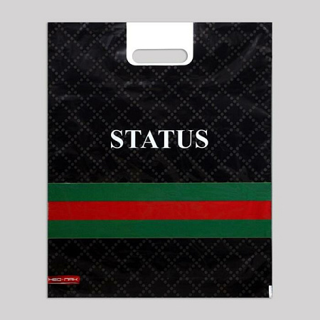 Пакет Status 2900500520955 от магазина МылоПорошок